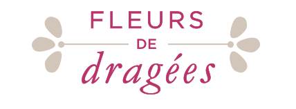 Nouveau Logo du site de vente de dragées