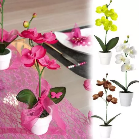 Plante Orchidée déco de table Plante Orchidée déco de table