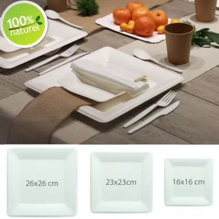 Assiette Biodégradable Canne à sucre (lot 25) Assiette Biodégradable Canne à sucre (lot 25)