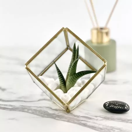 Cadeau original marraine - terrarium personnalisé Prisme Cadeau original marraine - terrarium personnalisé Prisme