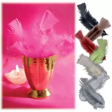 Plume déco (13cm) X30 Plume déco (13cm) X30