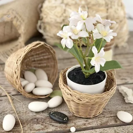 Petit panier corbeille dragées rond avec poigné Petit panier corbeille dragées rond avec poigné